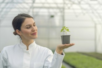 Woman holding potted plant in greenhouse nursery. Seedlings Greenhouse