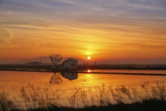 Delta del Ebro Ebre sunset in Deltebre of Tarragona at Catalonia spain