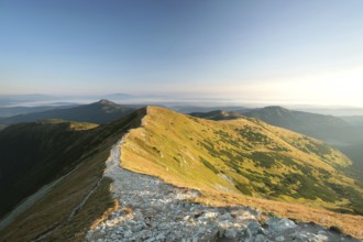 Peak in the Carpathian Mountains on the Polish-Slovak border, August, Poland, Europe