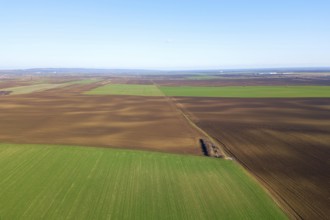 Aerial View Green Field