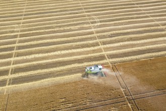 Combine harvester working on a wheat field. Combine harvester Aerial view