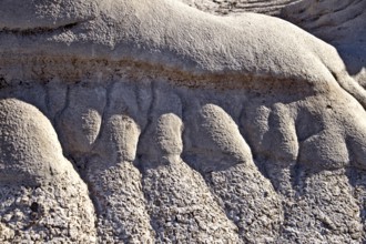 Badlands Alberta Drumheller and Dinasaur Park Canada