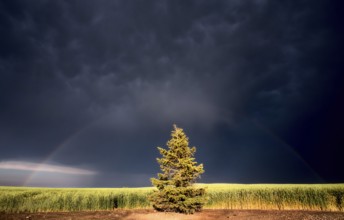Storm Clouds Canada rural countryside Prairie Scene