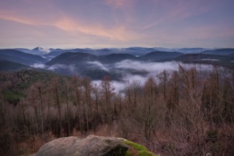 Landscape shot with cloudy sky and fog in the valley. View from a rock in the middle of forest and