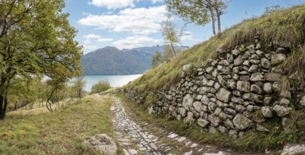 Hiking up a mountain at lake Como near Tremezzo, Italy, Europe
