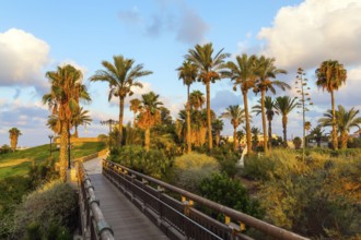 Picturesque bridge over a ravine. Evening twilight over Old Jaffa. Sunset. Old Yaffo, Tel Aviv.