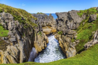 Picturesque coast of the South Island of New Zealand. Pancake rocks form narrow bays and fjords.