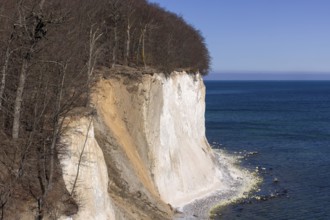 Rügen, Sassnitz, Mecklenburg-Western Pomerania, Jasmund National Park, Chalk Coast, Germany, 19