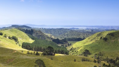 An image of a beautiful landscape near Matamata New Zealand