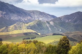 An image of a mountain view in New Zealand