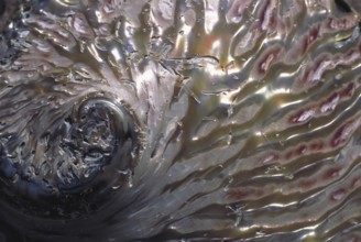 Nature closeup conceptual abstract showing contemplative colour mud