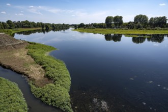 Natural bank of the Loire River near Nevers, Nievre department, Bourgogne-Franche-Comte, France,