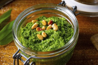 Delicious wild knob pesto with pine nuts
