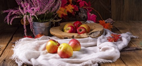 Malus sylvestris, der leckere europäische Krabbenapfel