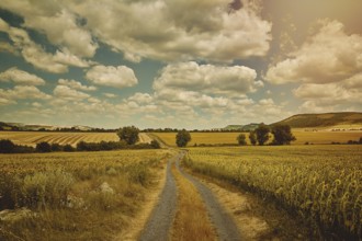 Country Road between Fields in Bulgaria Devnja, Bulgaria, Europe