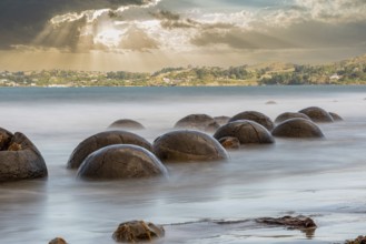 Scenic Moeraki Boulders at the east coast of New Zealands South Island