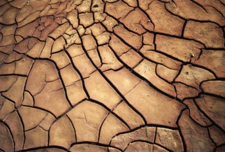 Brown sludge, cracked on earth, drought