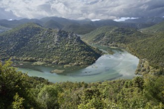 River bend, meander, near the village of Rijeka Crnojevica in the north-west of Lake Skadar, Lake