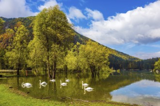 Lake Lago de Fusine. Laghi di Fusine, Tarvisio, Province of Udine. Magnificent lake in Northern