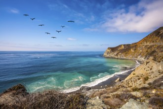 In the sky flies a flock of cranes. The scenic road passes over the ocean bay with emerald water.