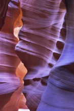 Shone orange and violet colors a canyon of Antelope in a bright sunny day