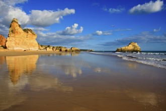 Dreamlike beach