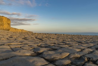 The stones and cliffs of Llantwit Major Beach in the evening sun, South Glamorgan, Wales, UK
