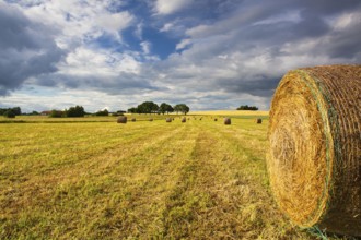 Harvest time and summer landscape after a storm
