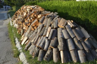 Stacked winter logs for heating