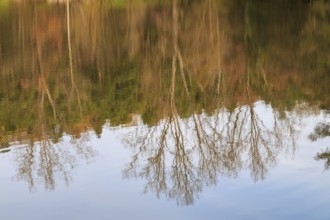 Autumnal reflection in the lake