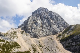 In the sanctuary of the Julian Alps, where the peaks can reach as high as 2500 m and more. The king