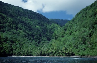 Cocos Island, Costa Rica, South America, Central America