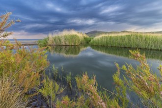 Landscape Greece, thunderstorm, thunderstorm atmosphere, reed, biotope, bird biotope, island