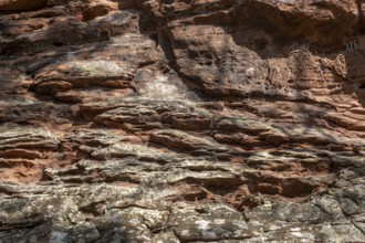 Detail of the Geiersteinfelsen, Geierstein, sandstone, Palatinate Forest, Bruchweiler-Bärenbach,