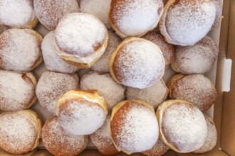 Mit Staubzucker bestreute Faschingskrapfen in einer Kiste, Leoben, Steiermark, Österreich