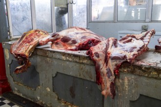 Market, meat hall, old town, Port Louis, Indian Ocean, island, Mauritius, Africa
