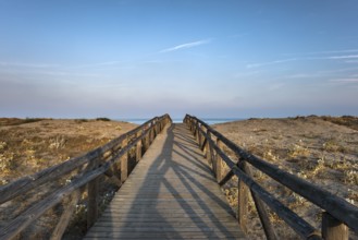 Wooden path to the beach. Morning sky