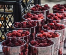Glasses with raspberries on the counter. Gorny settlement, Krasnodar region, Russia, Europe