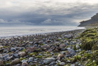 Baltic Sea beach