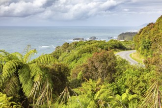 An image of a lush coast at New Zealand south
