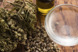 Cannabis extract with leaves