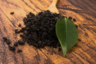 Dry tea and green leaves