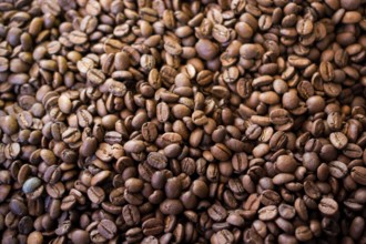 Coffee beans texture or coffee beans background
