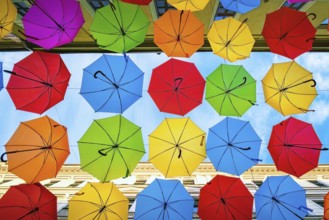 Umbrella street (Alba Iulia street) in Timisoara, Romania Timisoara, Romania, Europe