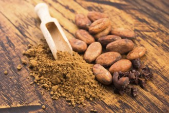 Cacao beans and cacao powder in spoon