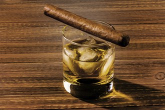 Zigarre und Whiskey. ein Symbolfoto für Sucht und Verwandtes, Österreich
