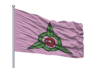 Tarragona City Flag On Flagpole, Country Spain, Isolated On White Background