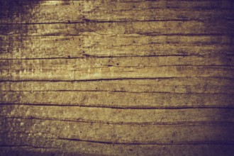 Wooden texture with natural patterns as a background