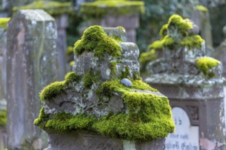 Jewish cemetery with gravestones and grave slabs with green moss, Bad-Buchau, Upper Swabia,