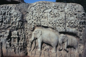 View of statue at Mamallapuram, Mahabalipuram, Tamil Nadu, India, Asia
